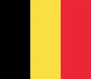 wygra Belgia