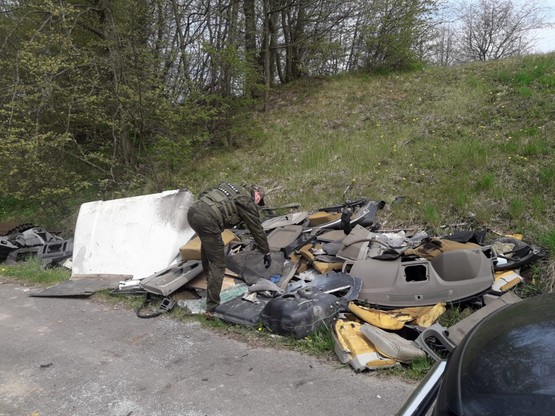 Większość ze śmieci w Nadleśnictwie Zaporowo sprzątnięto w pasie drogowym