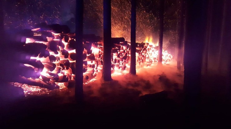 Podpalono drewno przygotowane do sprzedaży. Walka strażaków o uratowanie lasu