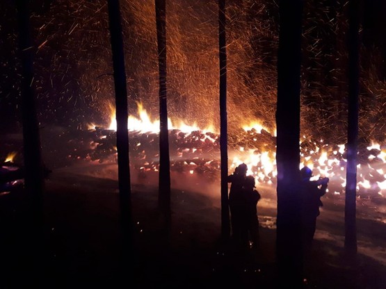 Pożar stosu drewna w lasach Nadleśnictwa Sulechów