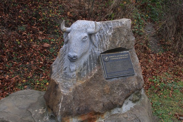 Pomnik żubra ustawiony jest niedaleko Zagrody Pokazowej Żubrów